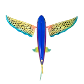 Nomad Flying Fish 