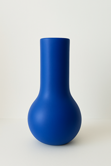 All Species Fighting Butt - Blue 