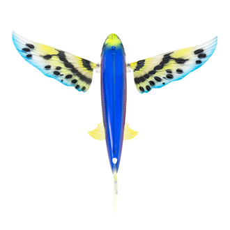 Nomad Flying Fish 200 Butterfly